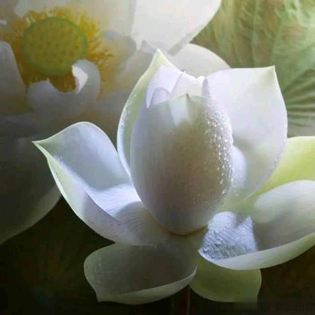 积极虹英：高情商的人，谨慎为明天塑形