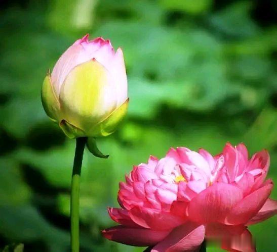 积极虹英：高情商的人，谨慎为明天塑形