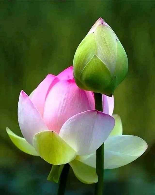 积极虹英：高情商的人，谨慎为明天塑形