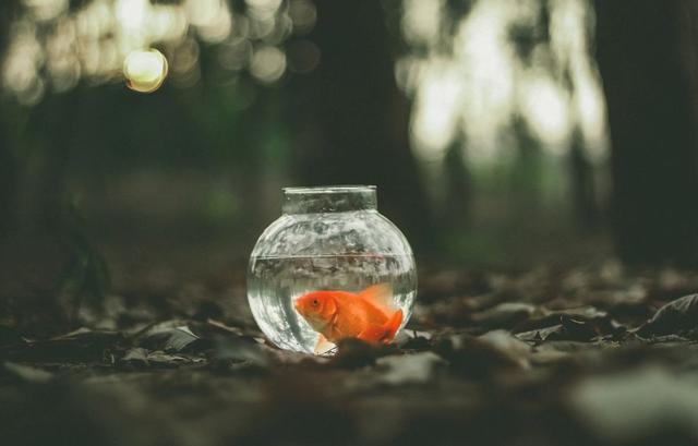 糖果儿@人活一辈子，只不过四字