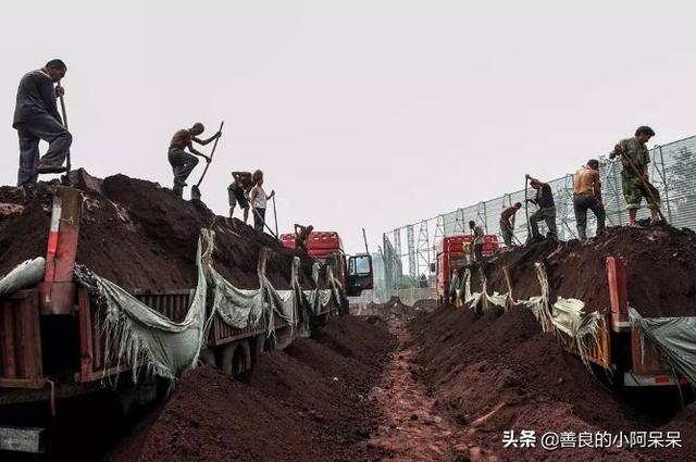 励志大学@没有人不辛苦，只是不愿喊疼！（深度好文）