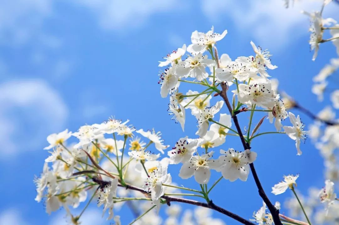 [少林问禅]你能飞多高不在别人怎么看，而在于你自己的羽翼有多强壮