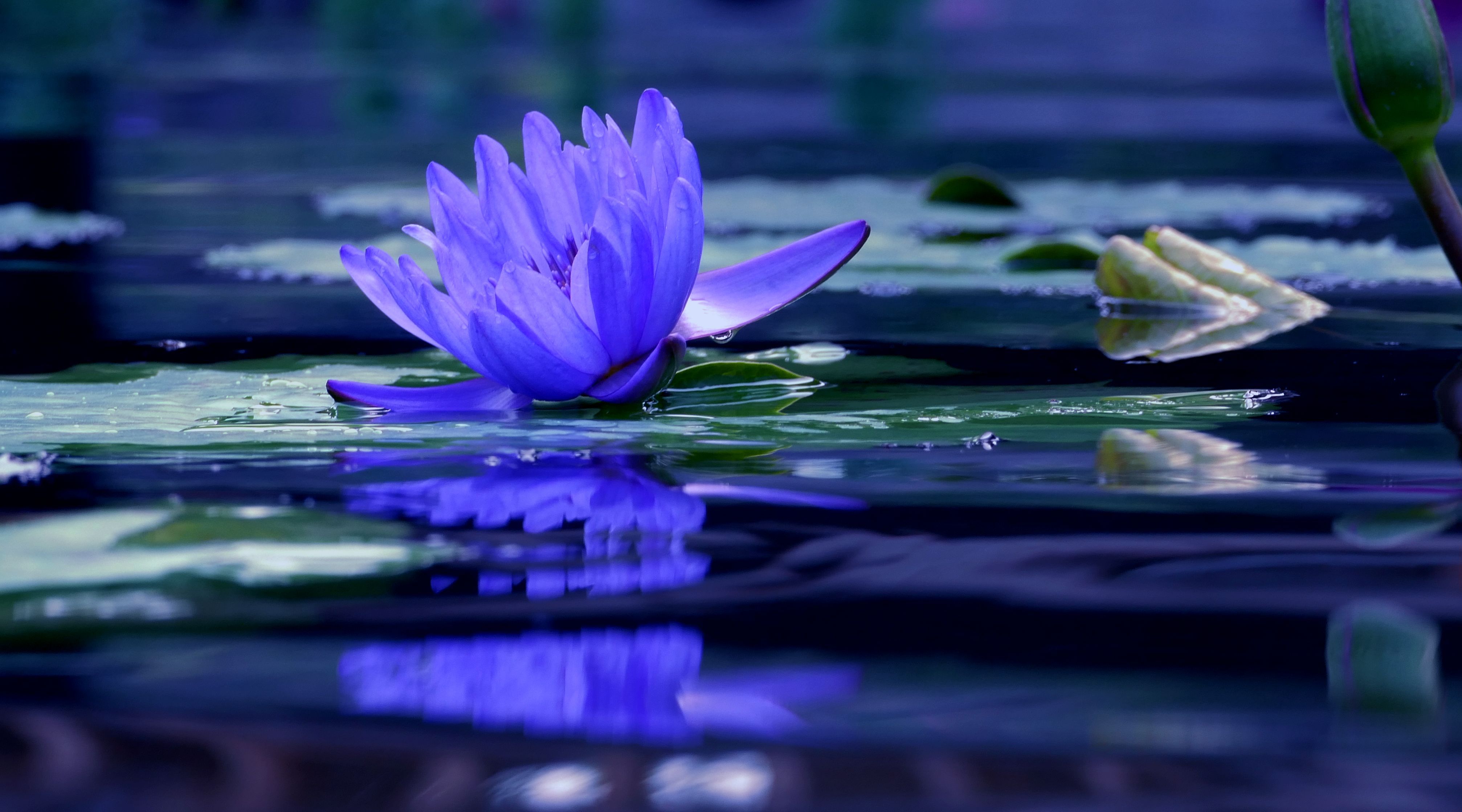 「少林问禅」当我们把自己逼到角落，想想《心经》里的智慧，便可得到解脱