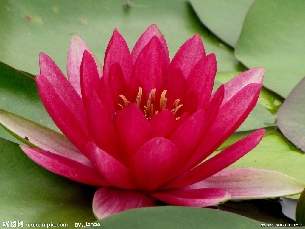 「少林问禅」当我们把自己逼到角落，想想《心经》里的智慧，便可得到解脱