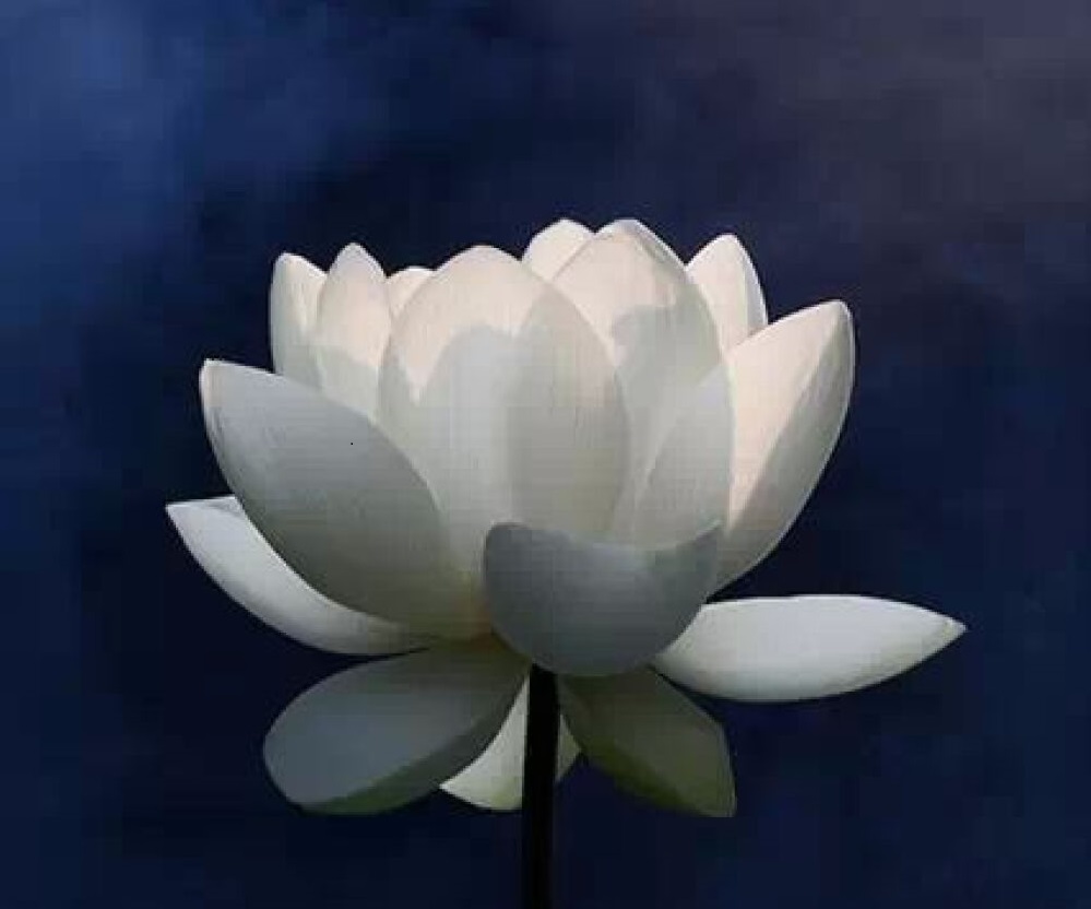 「少林问禅」当我们把自己逼到角落，想想《心经》里的智慧，便可得到解脱