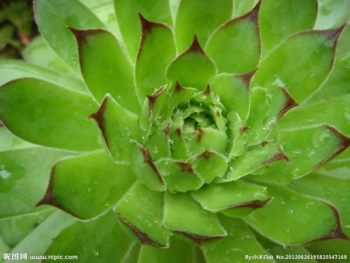 「少林问禅」当我们把自己逼到角落，想想《心经》里的智慧，便可得到解脱