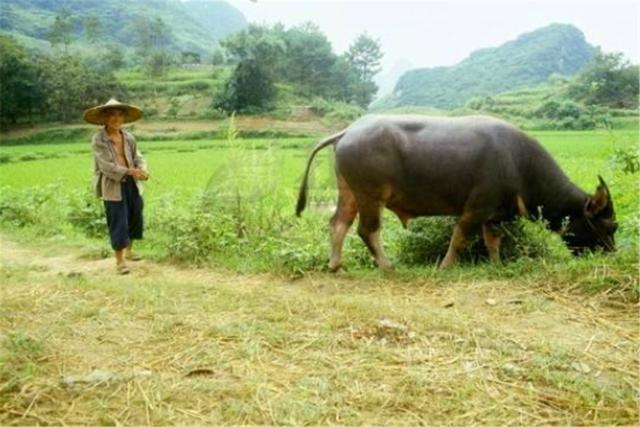 【浅浅情感说】俗语：“人睡三觉，命比纸薄”，连古人都不睡的3种觉，不妨留意