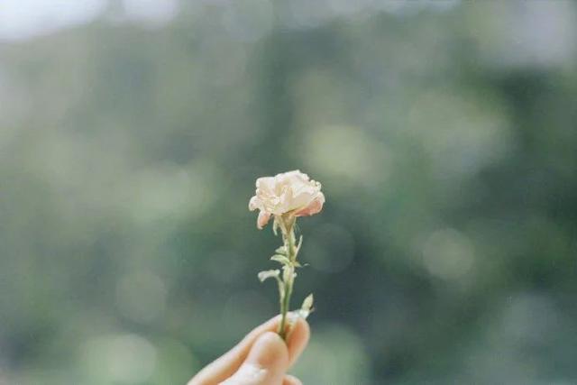 浅浅情感说：写给没人疼的傻瓜