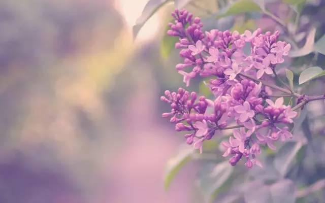 #浅浅情感说#真正在乎你的人，永远不会对你高傲冷