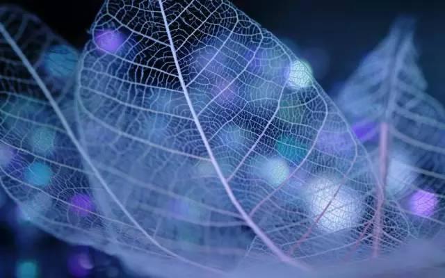 #浅浅情感说#真正在乎你的人，永远不会对你高傲冷