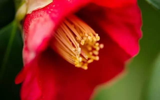 #浅浅情感说#真正在乎你的人，永远不会对你高傲冷