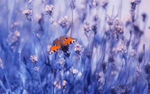 #浅浅情感说#真正在乎你的人，永远不会对你高傲冷