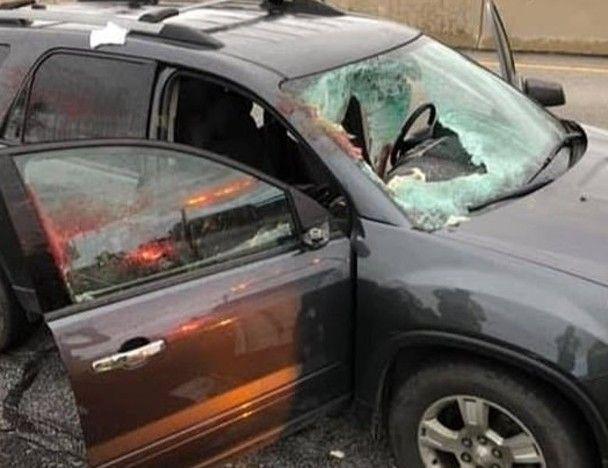 惊险！野鹿公路乱跑撞入私家车，美国女司机致多处骨折保住一命！