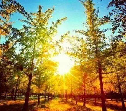 「柠檬美文」做人，最大的成功就是家庭幸福