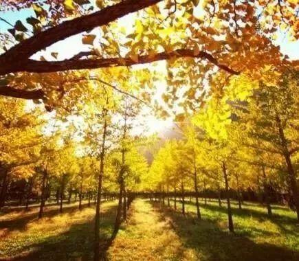 「柠檬美文」做人，最大的成功就是家庭幸福