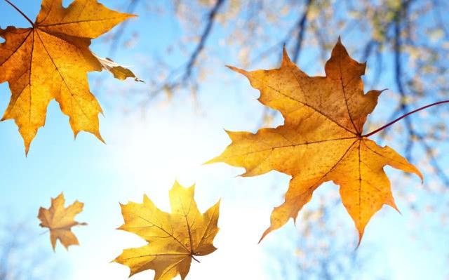 「情感二八」你爱我，我也爱你，但我们没办法做夫妻，只愿下辈子不要再相识