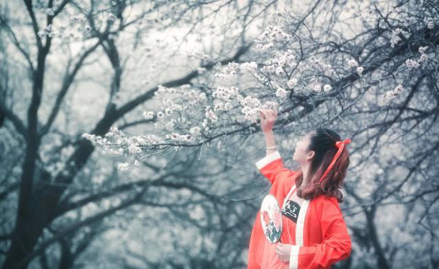 「情感二八」你爱我，我也爱你，但我们没办法做夫妻，只愿下辈子不要再相识