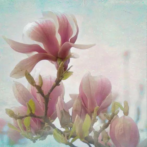 「糖果儿」付出，要遇上对的人才值得