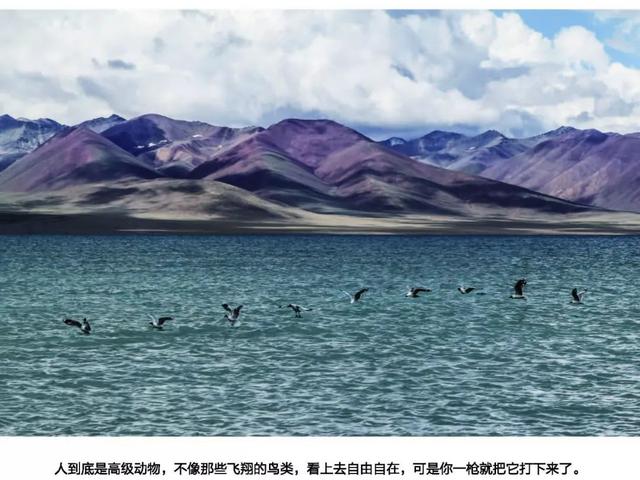 心理观察家：结婚五天后，爷爷离家出走，从此奶奶等了一辈子