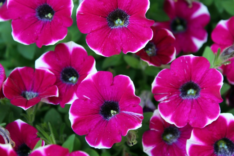 【科技的宇宙漩涡】很直男的三个生肖男，经常把老婆气上天，从来不懂浪漫