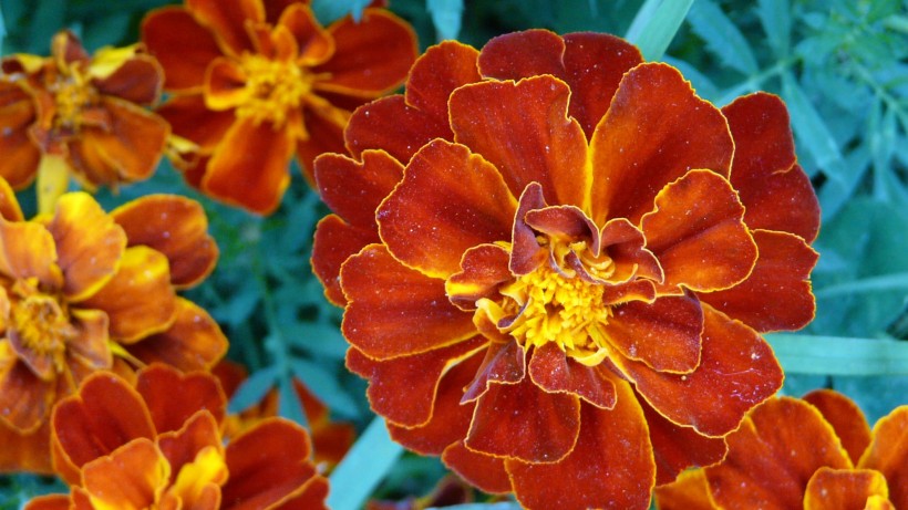 【科技的宇宙漩涡】很直男的三个生肖男，经常把老婆气上天，从来不懂浪漫