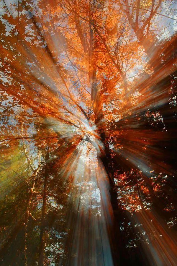 「焦点常州」人到了一定年龄，就要学会温暖向阳