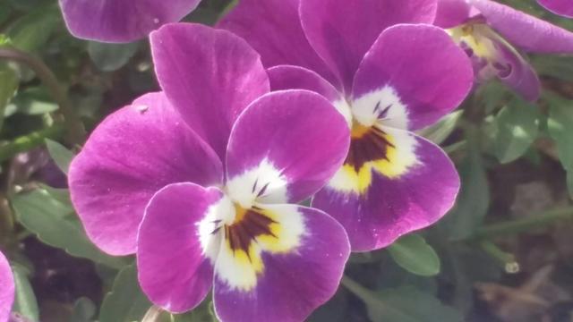 「看了太阳打喷嚏」老婆到底是什么呀？老公们看完后怎么想？