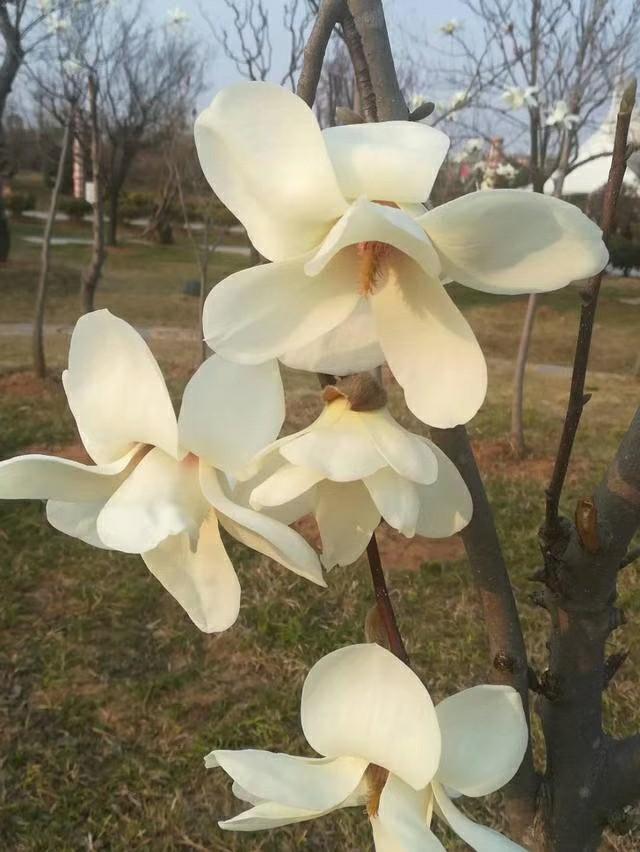 「看了太阳打喷嚏」老婆到底是什么呀？老公们看完后怎么想？