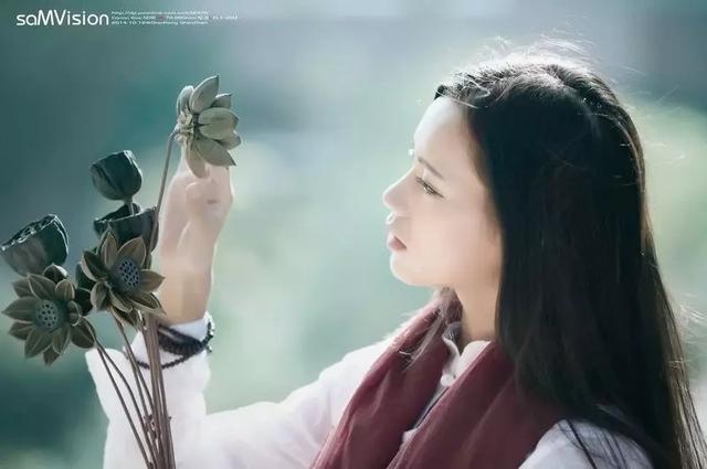 茶诗花@生一炉缘分的火，煮一壶云水禅心