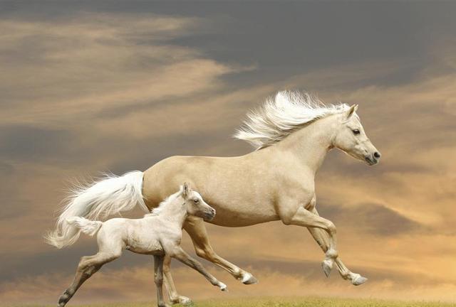 「佳作有约」人闲是非多，百忙解千愁