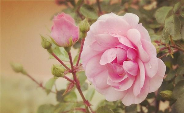 卡酷弟弟：致自己很精彩的一段话，经典入心，百看不厌