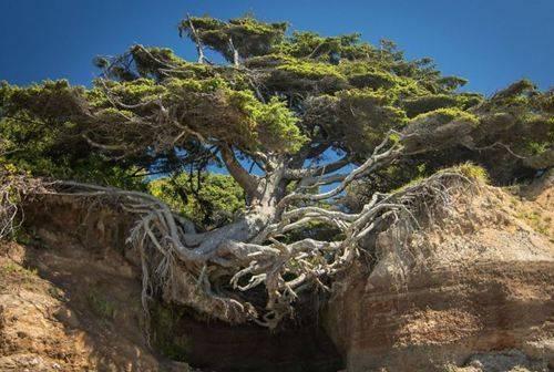 励志司机瑞瑞■树从根发，人从心发，知行合一才能够内心强大，成为可塑之才