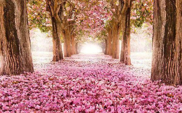 励志司机瑞瑞■树从根发，人从心发，知行合一才能够内心强大，成为可塑之才