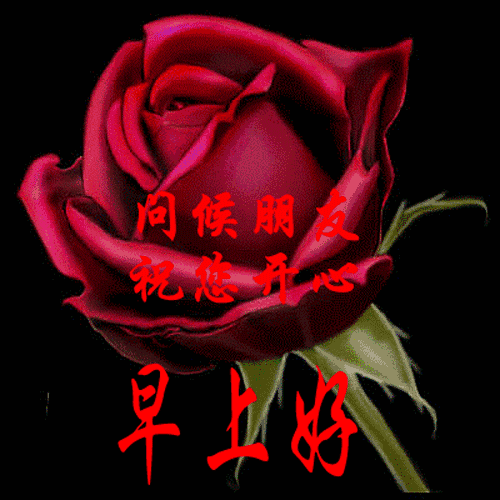 「美文鉴赏」刚出的早安问候表情包，太美了，送给你，请收下