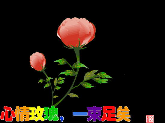 「美文鉴赏」刚出的早安问候表情包，太美了，送给你，请收下