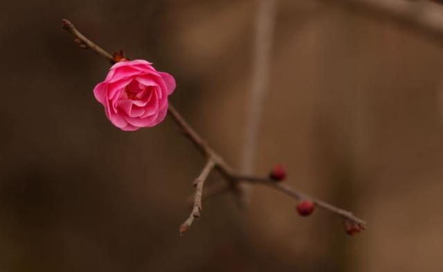 「小馨馨情感屋」只要你来过我的世界就好