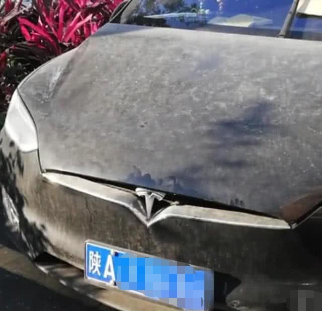 老撕机唠车@百万特斯拉成“癞皮狗”，占车位两个月不走，车上的字条尽显无奈