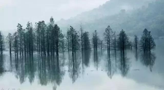 职场少年■水深不语，人稳不言