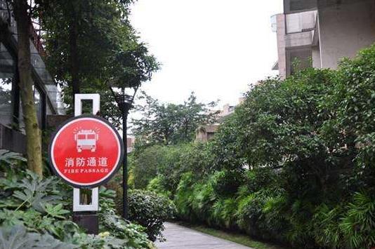 SUV大师：路边停车要注意，这几个地方，贴你罚单都算是轻的