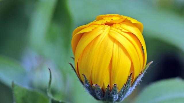 新鲜的星座知识@一旦爱上就很难轻易离开，这些星座总能深深吸引着另一半