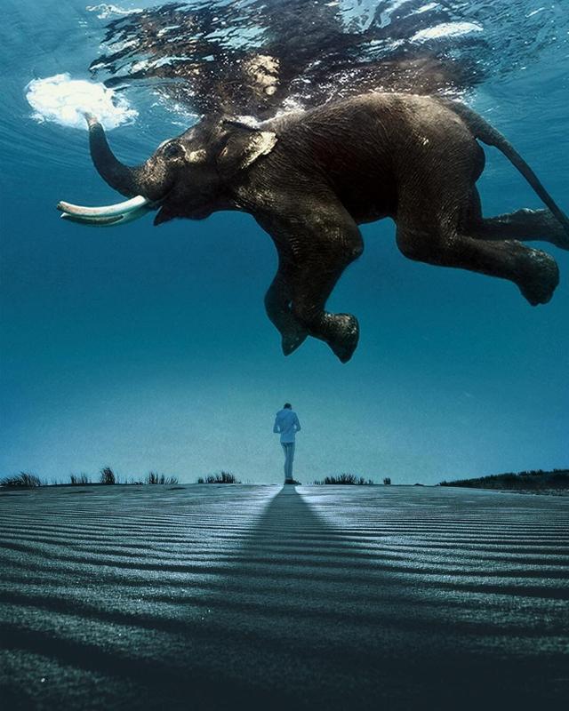 月亮不入梦■现实短句，男女通用