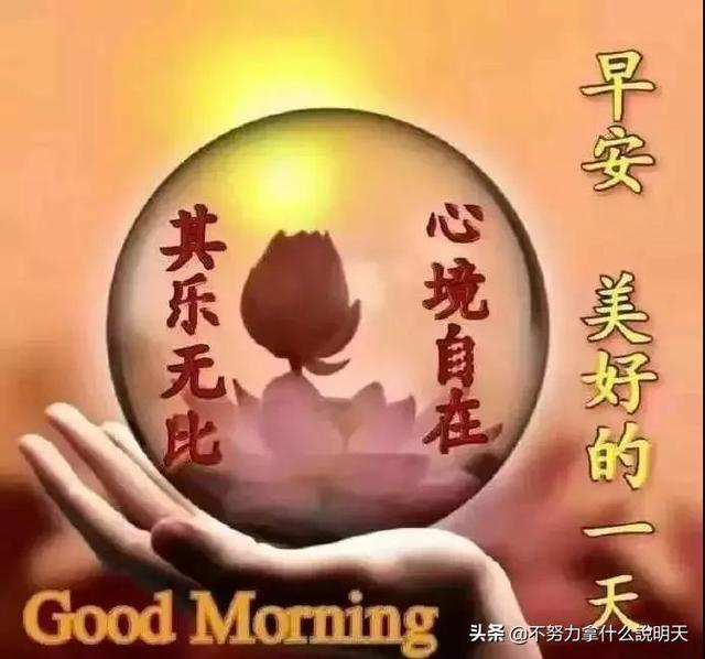 #美文鉴赏#清晨的祝福送给你，祝你快乐开心一整天，早安