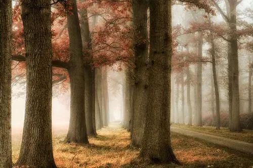 【绿洲驿站】人品好的人，一开口就能看出来