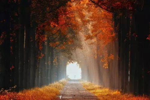 【绿洲驿站】人品好的人，一开口就能看出来