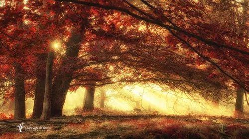 【绿洲驿站】人品好的人，一开口就能看出来