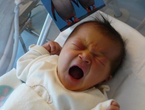 【果子说感情】心理测试：三个孩子，你喜欢哪一个？测你将来的儿女是否成龙成凤