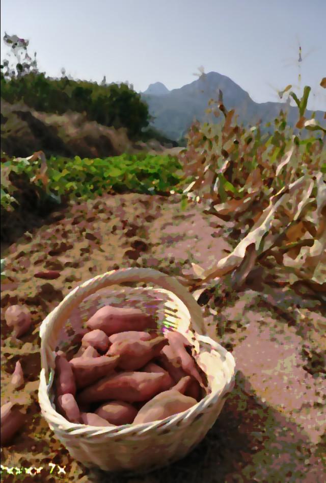 给我来碗片汤：胶东风光一瞥