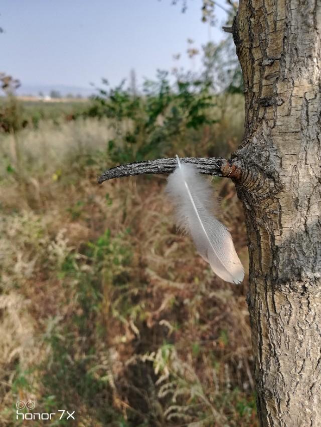 给我来碗片汤：胶东风光一瞥
