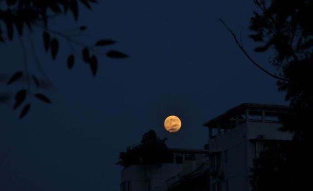 【我家就我】心理测试：四轮圆月，哪个令你想起故乡？测你努力多少年可以享福