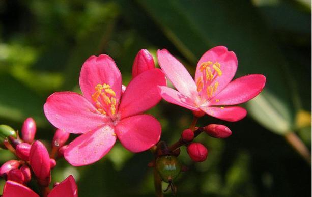 「小馨馨情感屋」只要你是我的余生，晚一点也可以